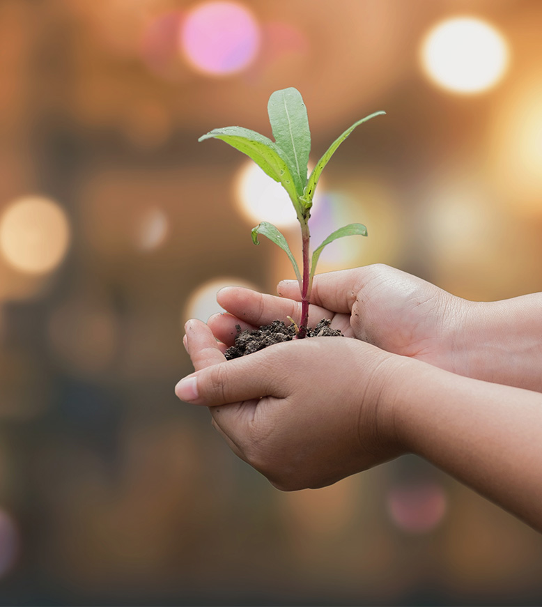 Ambiente sustentável com mictório ecológico